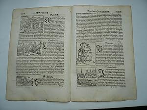 Hohentwiel,Waldshut,Lauffenberg,Seckingen,Neuenburg,anno 1570, Sebastian Muenster, Cosmographia -...