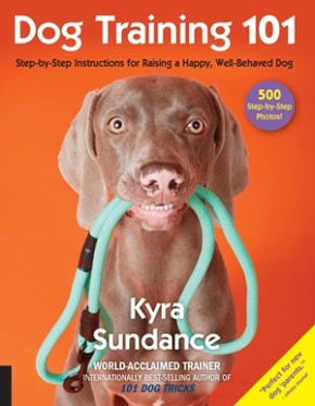 Seller image for Dog Training 101: Step-by-Step Instructions for raising a happy well-behaved dog for sale by ChristianBookbag / Beans Books, Inc.