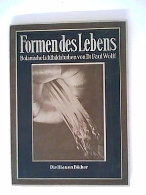 Immagine del venditore per Formen des Lebens : Botanische Lichtbildstudien. venduto da ANTIQUARIAT FRDEBUCH Inh.Michael Simon