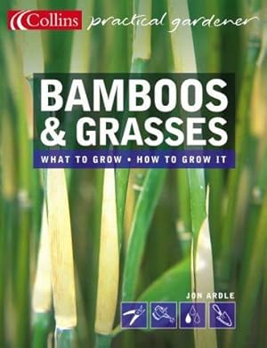 Seller image for Collins Practical Gardener Bamboos and Grasses (Collins Practical Gardener S.) for sale by WeBuyBooks
