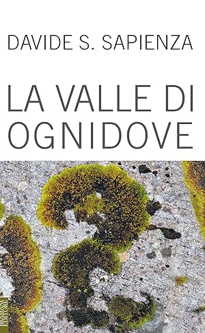Bild des Verkufers fr La valle di ognidove zum Verkauf von Libro Co. Italia Srl