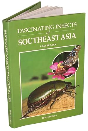 Image du vendeur pour Fascinating insects of Southeast Asia. mis en vente par Andrew Isles Natural History Books