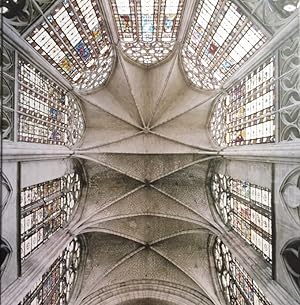 Heavenly Vaults. From Romanesque to Gothic in European Architecture.