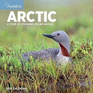Seller image for Audubon Arctic Wall Calendar 2023 for sale by GreatBookPrices