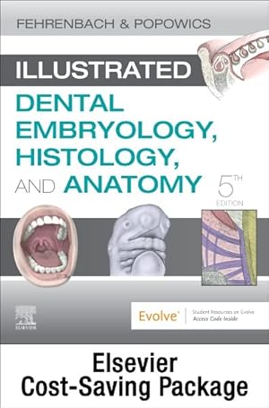 Seller image for Illustrated Dental Embryology, Histology, and Anatomy for sale by GreatBookPrices