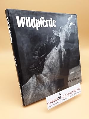Imagen del vendedor de Wildpferde ; Dlmen ; e. Stadt mit Herz u. grner Lunge a la venta por Roland Antiquariat UG haftungsbeschrnkt