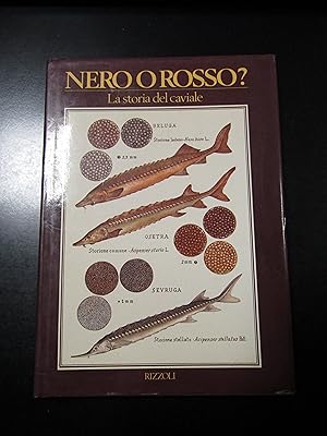 Buonassisi Rory. Nero o rosso? La storia del caviale. Rizzoli 1985.