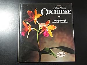 Ritratti di orchidee. Idealibri 1990 - I.