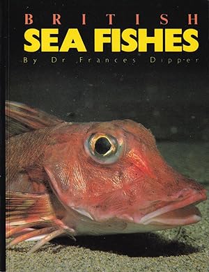 Seller image for BRITISH SEA FISHES. By Dr. Frances Dipper. for sale by Coch-y-Bonddu Books Ltd
