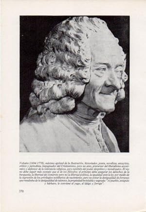 Seller image for LAMINA V15494: Voltaire for sale by EL BOLETIN