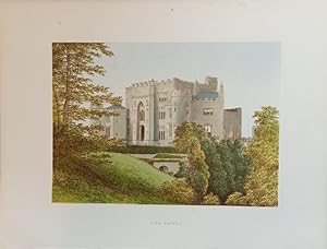 Birr Castle - Originalfarbholzstich nach A.F. Lydon. Aus: Morris, F.O. (Ed.): A Series of Picture...