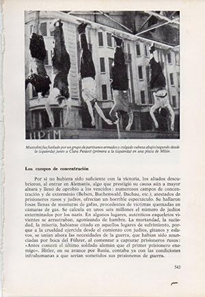 LAMINA V15572: Mussolini y Clara Petacci colgados en una plaza de Milan