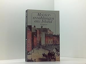 Seller image for Meistererzhlungen aus Irland: Geschichten von Frank O'Connor bis Bernard MacLaverty for sale by Book Broker