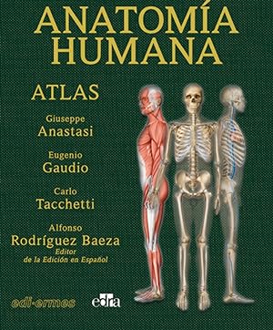 Image du vendeur pour Anatoma Humana. Atlas mis en vente par Vuestros Libros
