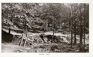 A large photographic print of Shipley Glen