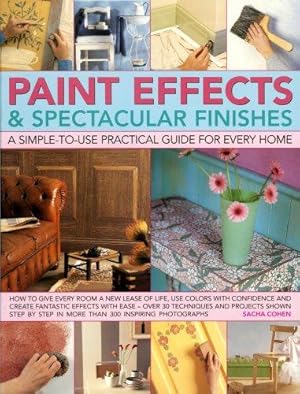 Bild des Verkufers fr Paint Effects and Spectacular Finishes: A Simple-to-use Practical Guide for Every Home zum Verkauf von WeBuyBooks