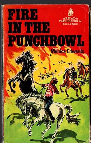 FIRE IN THE PUNCHBOWL