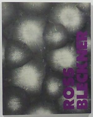 Bild des Verkufers fr Ross Bleckner. Obra 1993-1994. 1-30 Marzo 1994. Galera Soledad Lorenzo, Madrid. zum Verkauf von Patrik Andersson, Antikvariat.