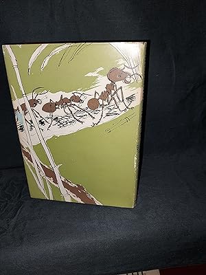 Seller image for Ladis and the Ant for sale by Gemini-Books