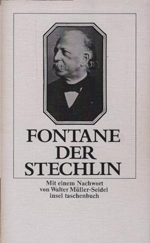 Seller image for Der Stechlin. Mit e. Nachw. von Walter Mller-Seidel / Insel-Taschenbuch ; 152 for sale by Schrmann und Kiewning GbR