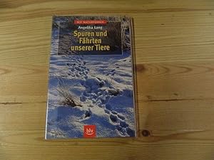 Immagine del venditore per Spuren und Fhrten unserer Tiere. Angelika Lang / BLV-Naturfhrer venduto da Versandantiquariat Schfer