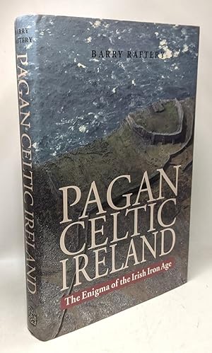 Pagan Celtic Ireland: The Enigma of the Irish Iron Age