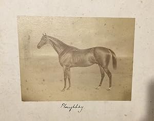 Racehorse - Ploughboy - original mounted photograph c1880