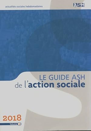 Le guide ASH de l'action sociale Tome II - Laurent Foucault Giroux