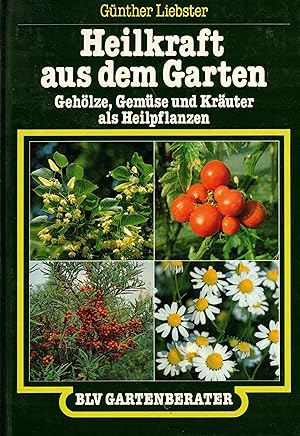 Bild des Verkufers fr Heilkraft aus dem Garten. Gehlze, Gemse und Kruter als Heilpflanzen (BLV Gartenberater) zum Verkauf von Paderbuch e.Kfm. Inh. Ralf R. Eichmann