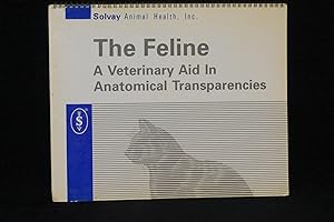 The Feline: A Veterinary Aid in Anatomical Transparencies