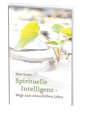 Seller image for Spirituelle Intelligenz - Wege zum sinnerfllten Leben for sale by Modernes Antiquariat - bodo e.V.