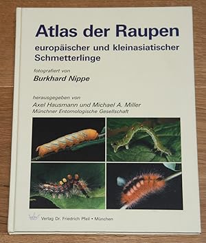 Bild des Verkufers fr Atlas der Raupen europischer und kleinasiatischer Schmetterlinge. [Mnchner Entomologische Gesellschaft] zum Verkauf von Antiquariat Gallenberger