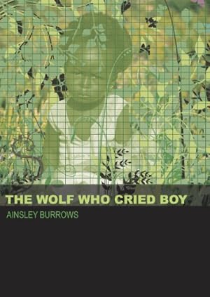 Bild des Verkufers fr The Wolf Who Cried Boy zum Verkauf von WeBuyBooks