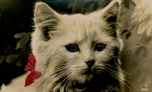 Stoff Ansichtskarte / Postkarte Weiße Katze, Schleife