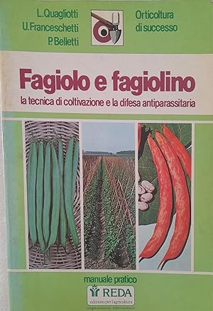 Fagiolo e fagiolino. La tecnica di coltivazione e la difesa antiparassitaria