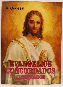 Imagen del vendedor de Evangelios Concordados Ilustrados a la venta por SalvaLibros