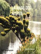 Bild des Verkufers fr la magie des arbres zum Verkauf von Chapitre.com : livres et presse ancienne