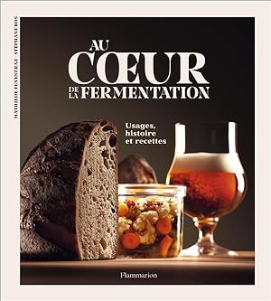au coeur de la fermentation : histoire, usages et recettes