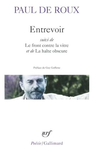 entrevoir ; le front contre la vitre ; la halte obscure