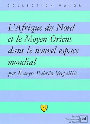 L'Afrique du Nord et le Moyen-Orient dans le nouvel espace mondial