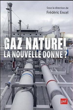 Bild des Verkufers fr gaz naturel, la nouvelle donne zum Verkauf von Chapitre.com : livres et presse ancienne
