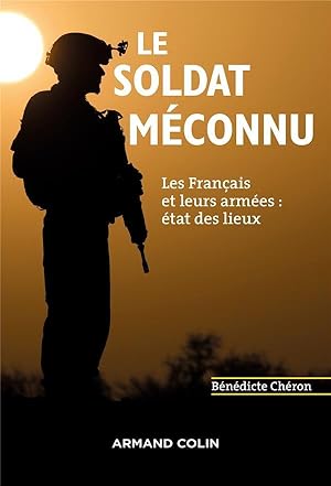 le soldat méconnu ; les Français et leurs armées : état des lieux