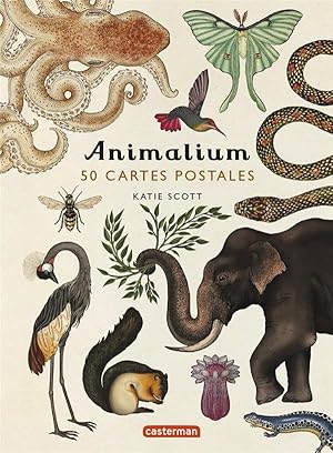 animalium : 50 cartes postales