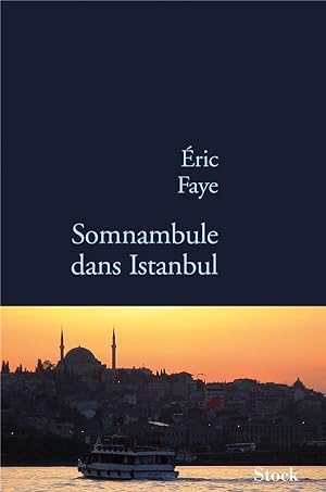 Bild des Verkufers fr somnambule dans Istanbul zum Verkauf von Chapitre.com : livres et presse ancienne
