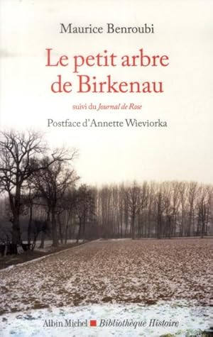 le petit arbre de Birkenau ; journal de Rose