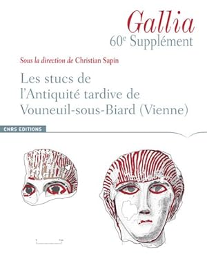 Immagine del venditore per Les stucs de l'Antiquit tardive de Vouneuil-sous-Biard, Vienne venduto da Chapitre.com : livres et presse ancienne