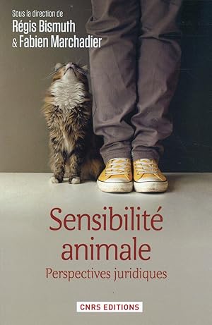 Bild des Verkufers fr sensibilit animale ; perspectives juridiques zum Verkauf von Chapitre.com : livres et presse ancienne