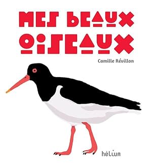 Bild des Verkufers fr mes beaux oiseaux zum Verkauf von Chapitre.com : livres et presse ancienne