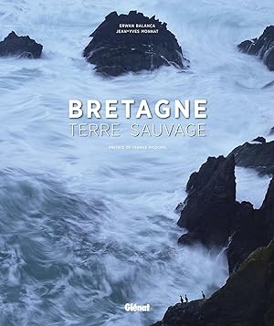 Bretagne ; terre sauvage