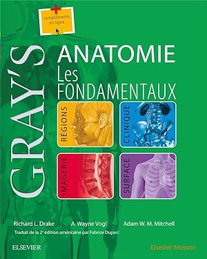 gray's anatomie - les fondamentaux